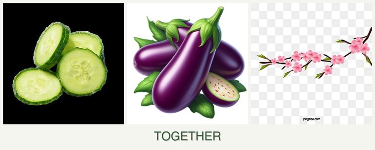Can you plant cucumbers, eggplant and peaches together?
