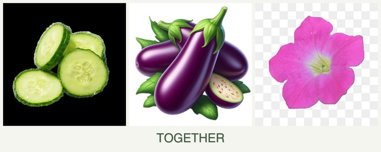 Can you plant cucumbers, eggplant and petunias together?