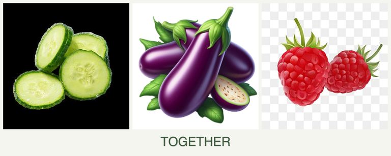 Can you plant cucumbers, eggplant and raspberries together?