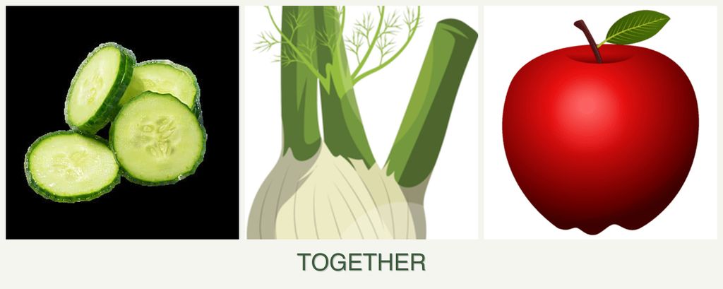 Can you plant cucumbers, fennel and apples together?