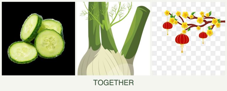 Can you plant cucumbers, fennel and apricots together?