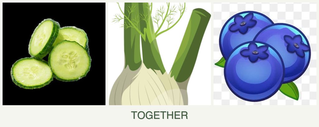 Can you plant cucumbers, fennel and blueberries together?