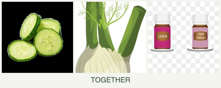 Can you plant cucumbers, fennel and geraniums together?