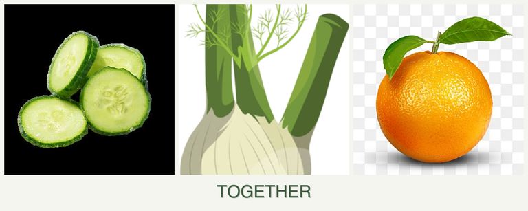 Can you plant cucumbers, fennel and oranges together?