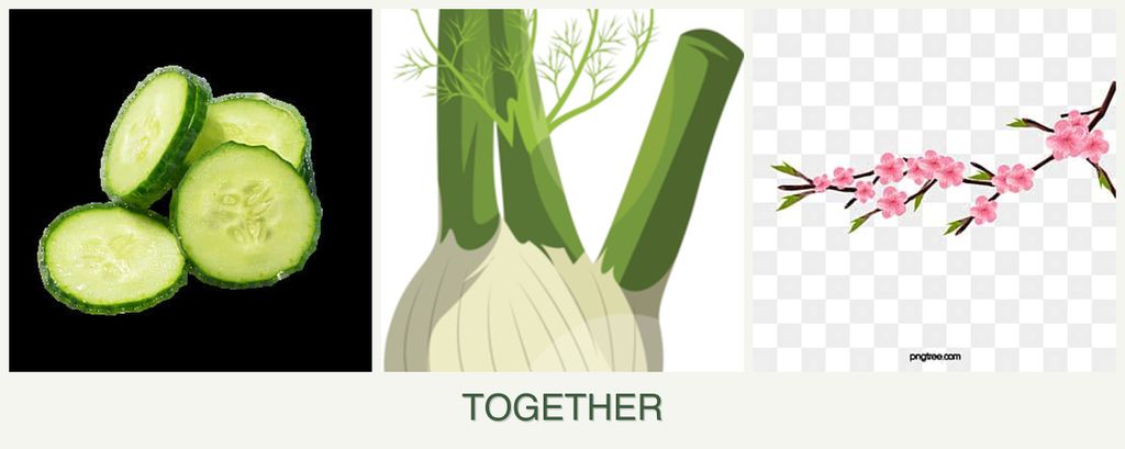 Can you plant cucumbers, fennel and peaches together?