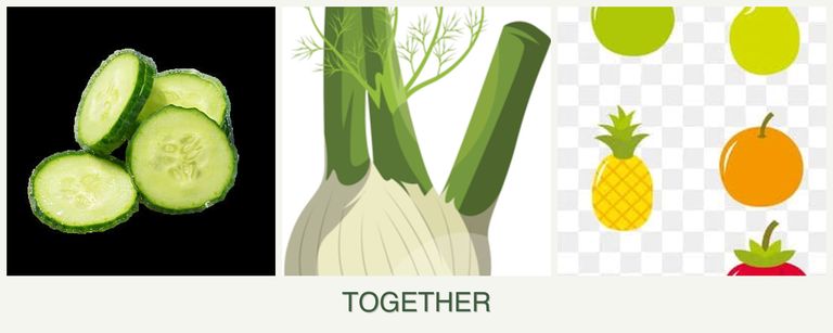 Can you plant cucumbers, fennel and pears together?