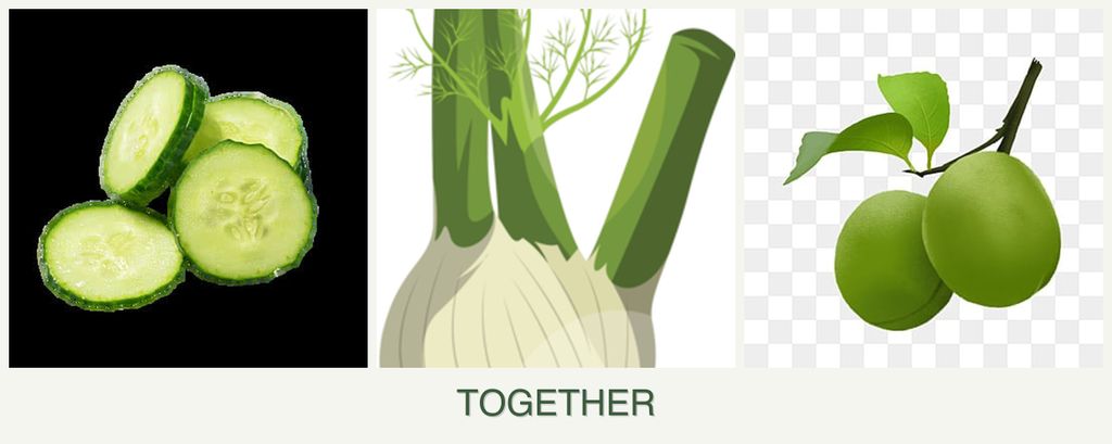 Can you plant cucumbers, fennel and plums together?