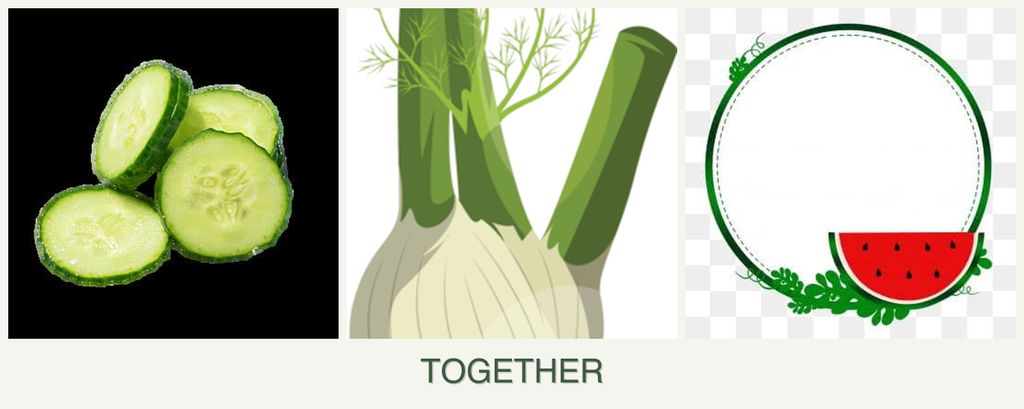 Can you plant cucumbers, fennel and watermelons together?