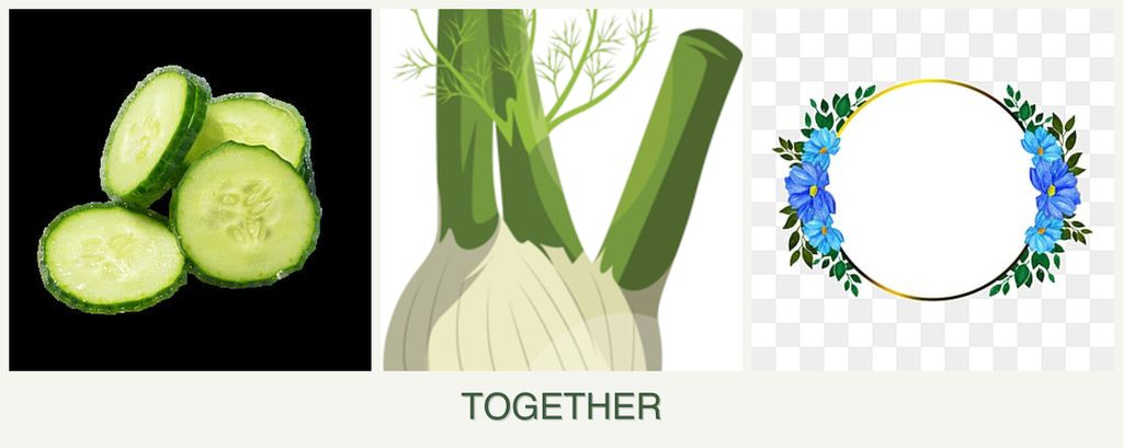 Can you plant cucumbers, fennel and zinnias together?