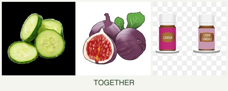 Can you plant cucumbers, figs and geraniums together?