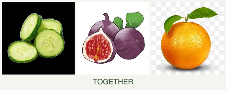Can you plant cucumbers, figs and oranges together?