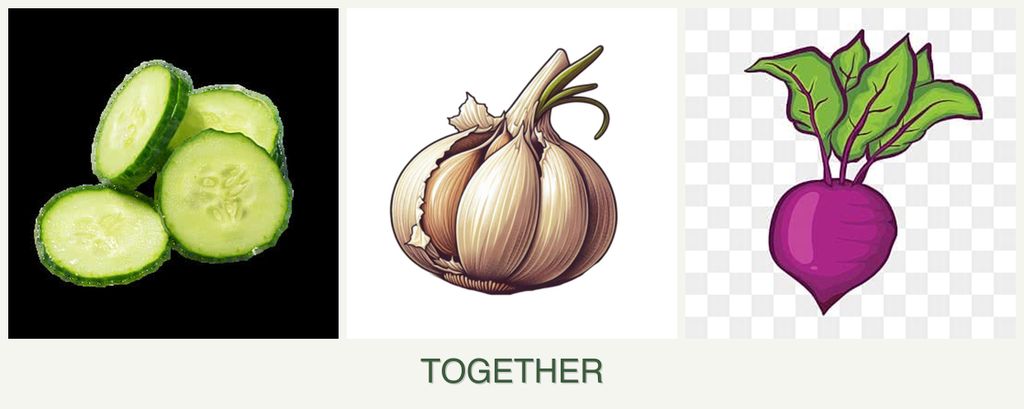 Can you plant cucumbers, garlic and beets together?