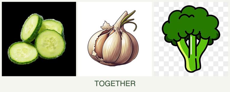 Can you plant cucumbers, garlic and broccoli together?