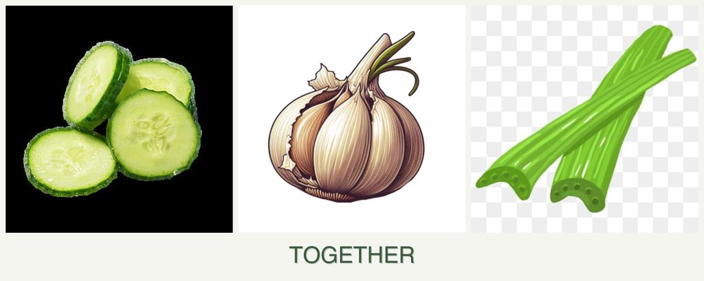 Can you plant cucumbers, garlic and celery together?