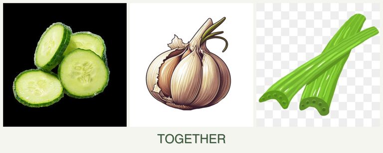 Can you plant cucumbers, garlic and celery together?