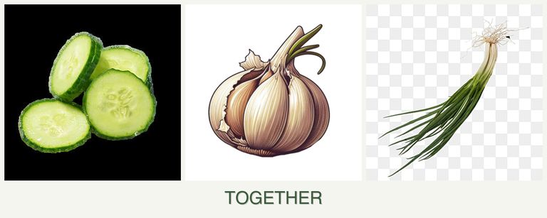 Can you plant cucumbers, garlic and chives together?