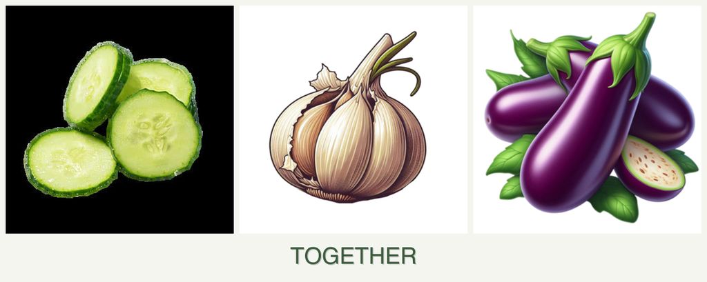 Can you plant cucumbers, garlic and eggplant together?