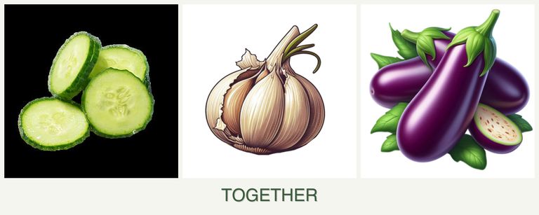 Can you plant cucumbers, garlic and eggplant together?