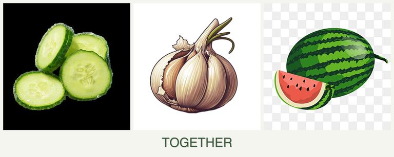 Can you plant cucumbers, garlic and melons together?