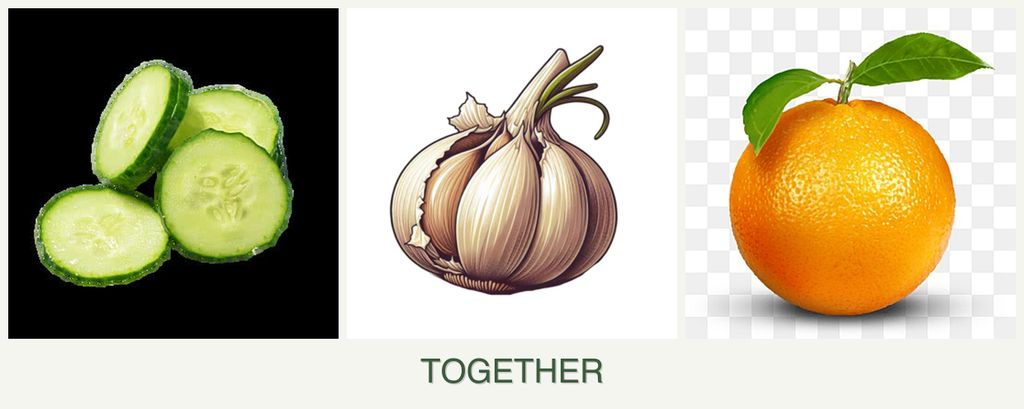 Can you plant cucumbers, garlic and oranges together?
