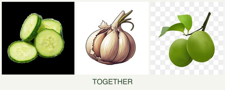 Can you plant cucumbers, garlic and plums together?