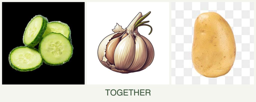 Can you plant cucumbers, garlic and potatoes together?