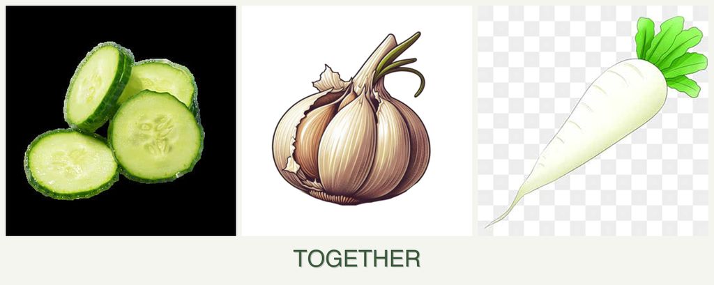 Can you plant cucumbers, garlic and radishes together?