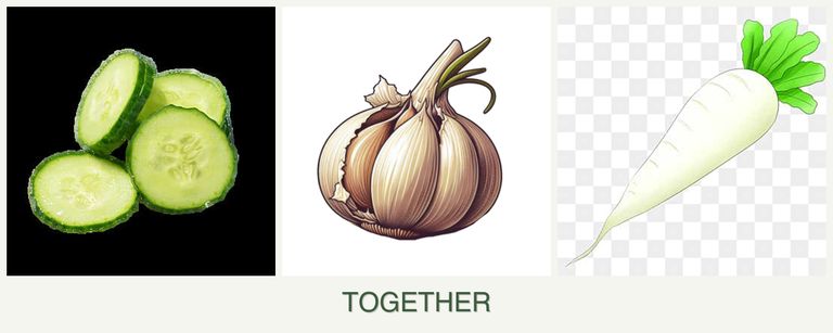 Can you plant cucumbers, garlic and radishes together?
