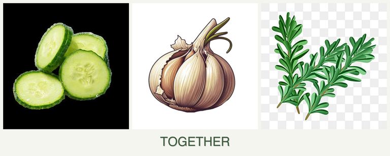 Can you plant cucumbers, garlic and rosemary together?