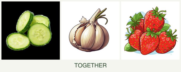 Can you plant cucumbers, garlic and strawberries together?