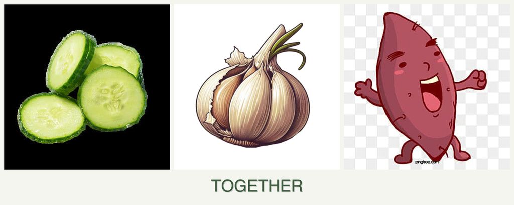 Can you plant cucumbers, garlic and sweet potatoes together?