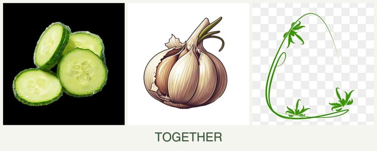 Can you plant cucumbers, garlic and tarragon together?
