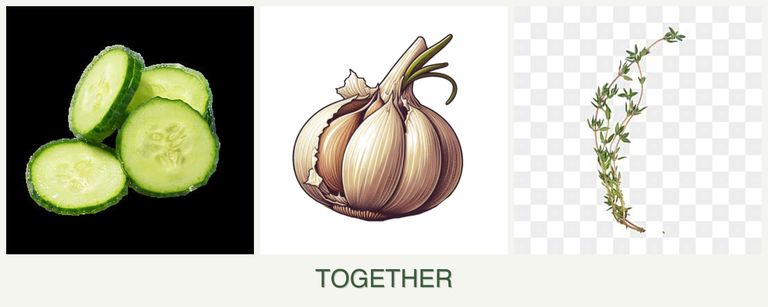 Can you plant cucumbers, garlic and thyme together?