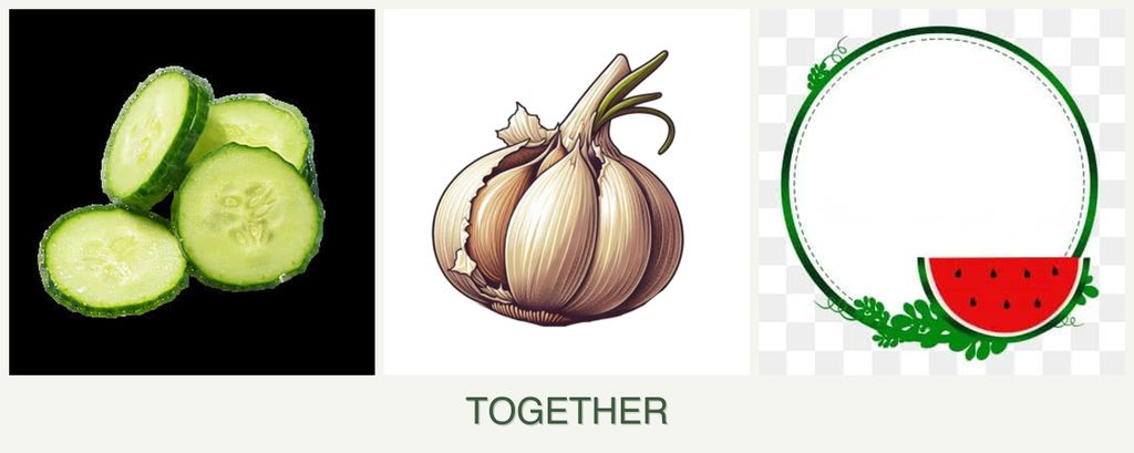 Can you plant cucumbers, garlic and watermelons together?