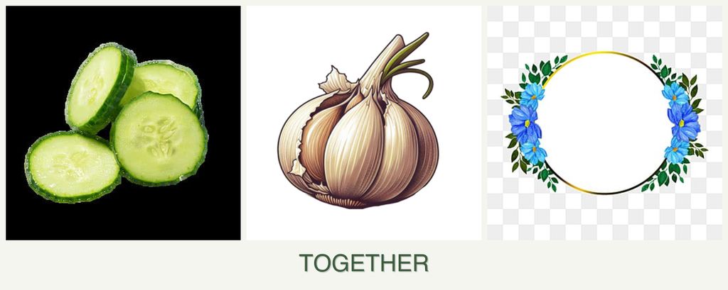 Can you plant cucumbers, garlic and zinnias together?