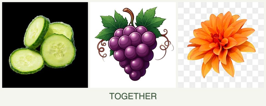 Can you plant cucumbers, grapes and dahlias together?
