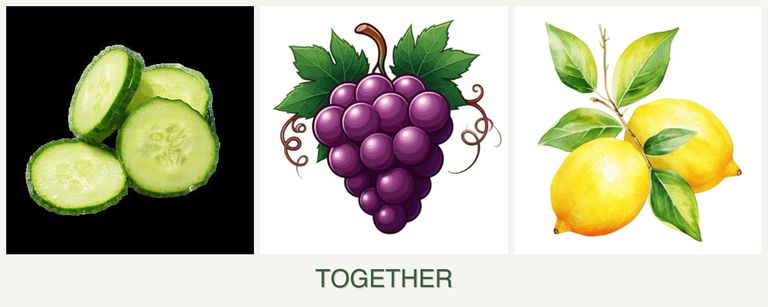 Can you plant cucumbers, grapes and lemons together?