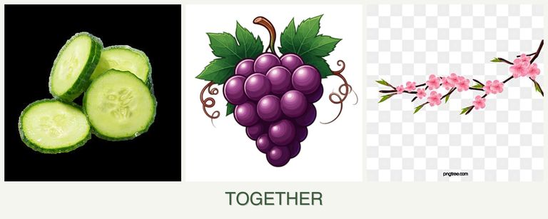 Can you plant cucumbers, grapes and peaches together?