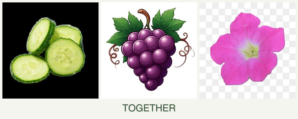 Can you plant cucumbers, grapes and petunias together?