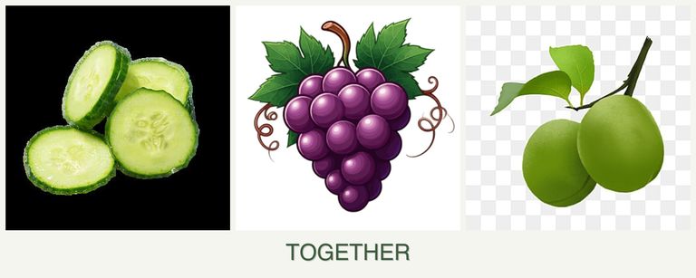 Can you plant cucumbers, grapes and plums together?