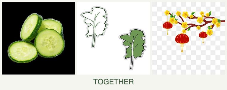 Can you plant cucumbers, kale and apricots together?