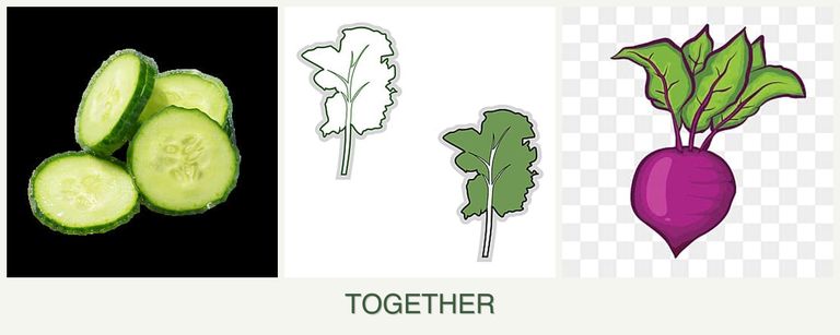 Can you plant cucumbers, kale and beets together?