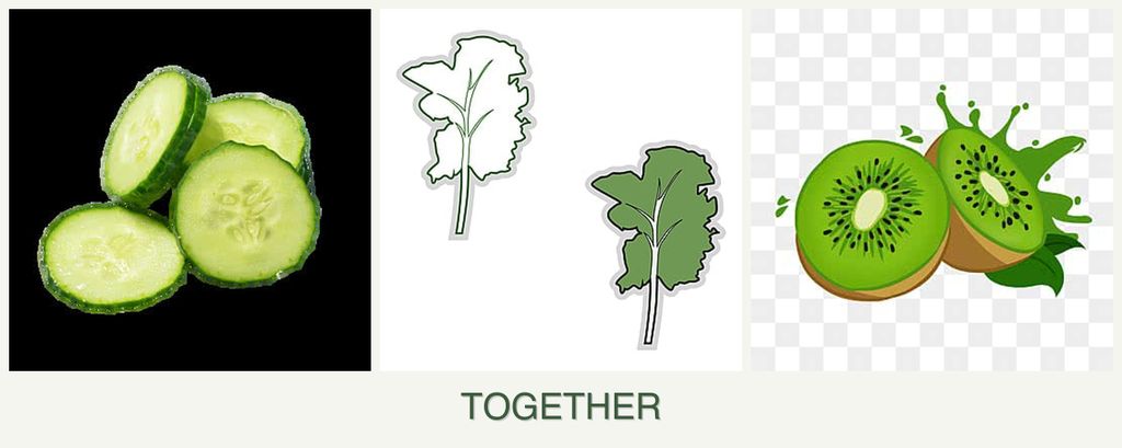 Can you plant cucumbers, kale and kiwi together?