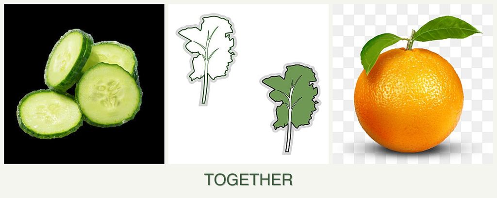 Can you plant cucumbers, kale and oranges together?