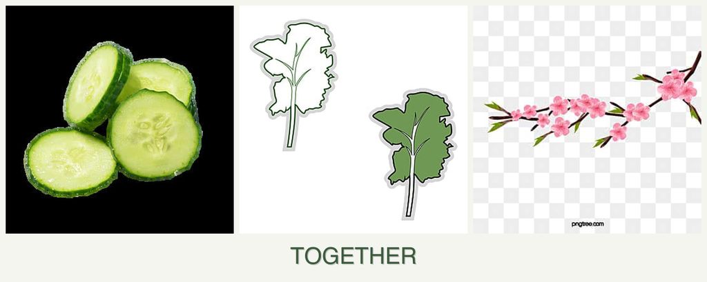 Can you plant cucumbers, kale and peaches together?