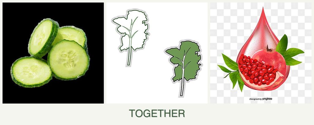 Can you plant cucumbers, kale and pomegranates together?