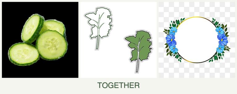 Can you plant cucumbers, kale and zinnias together?