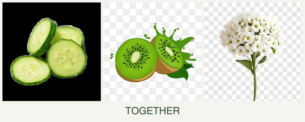 Can you plant cucumbers, kiwi and alyssum together?