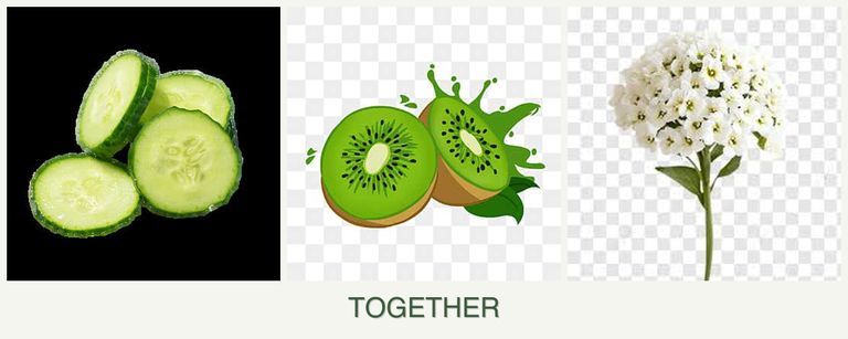 Can you plant cucumbers, kiwi and alyssum together?