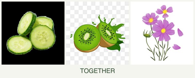 Can you plant cucumbers, kiwi and cosmos together?